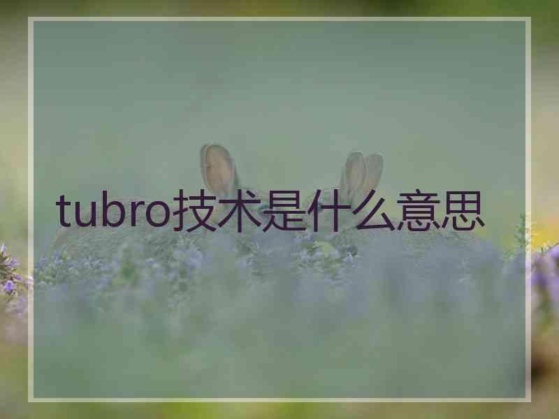 tubro技术是什么意思