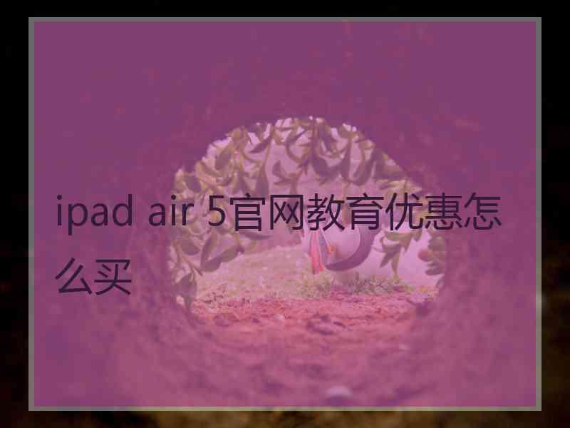 ipad air 5官网教育优惠怎么买