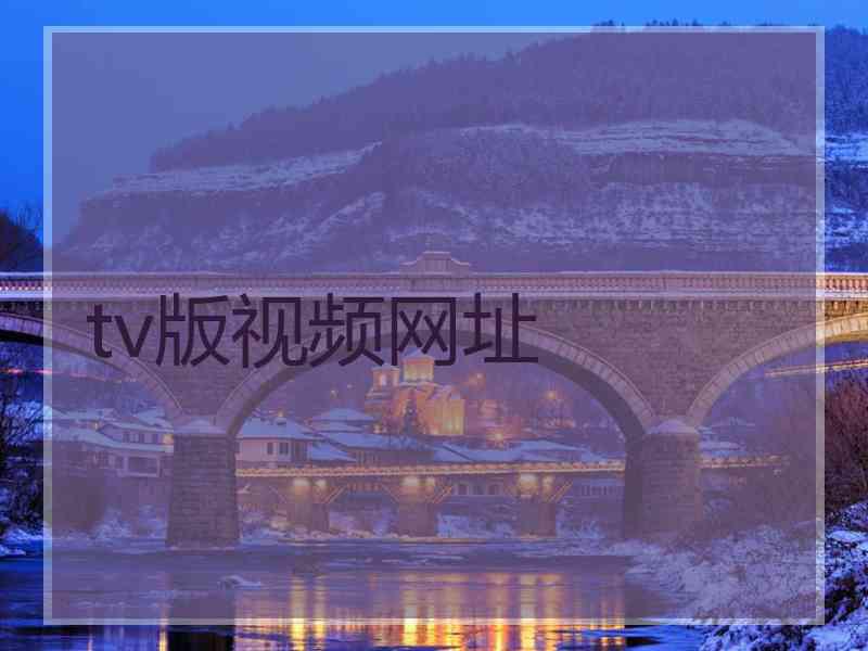 tv版视频网址