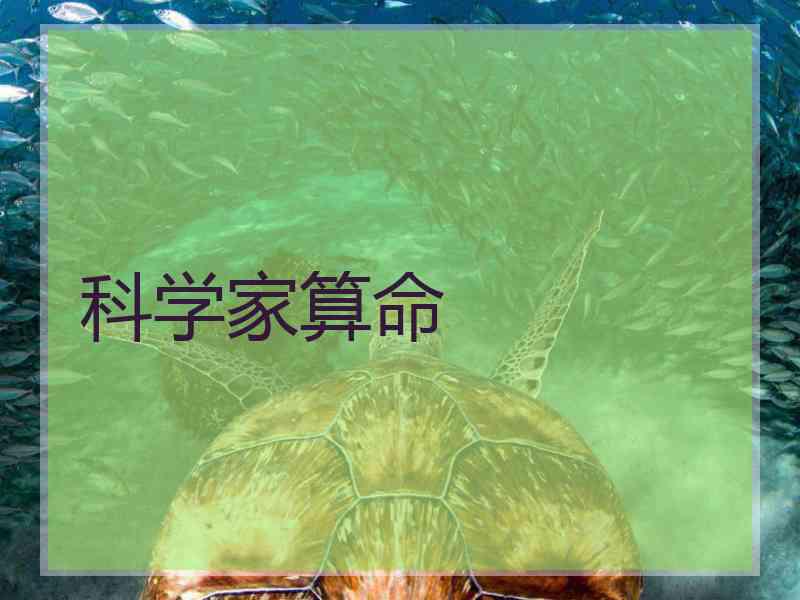 科学家算命