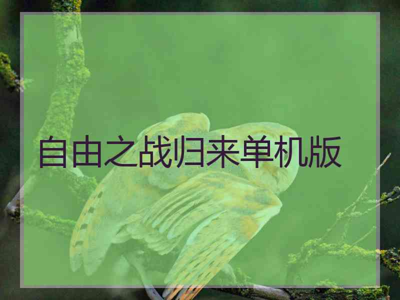 自由之战归来单机版