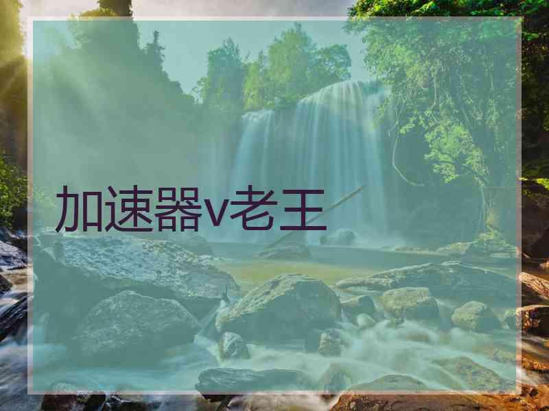 加速器v老王