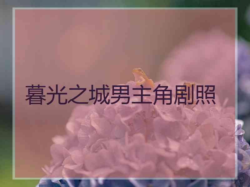 暮光之城男主角剧照