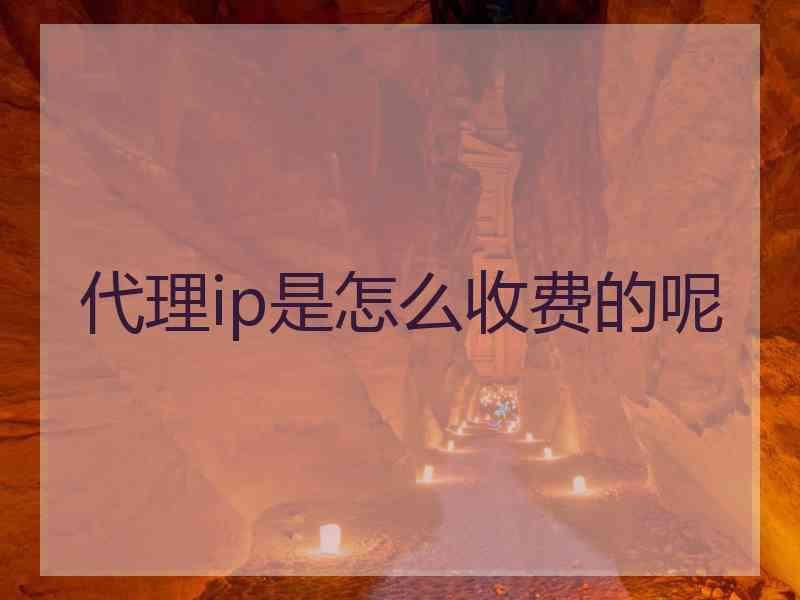 代理ip是怎么收费的呢
