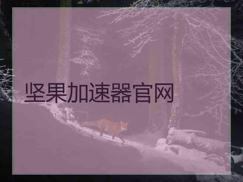 坚果加速器官网