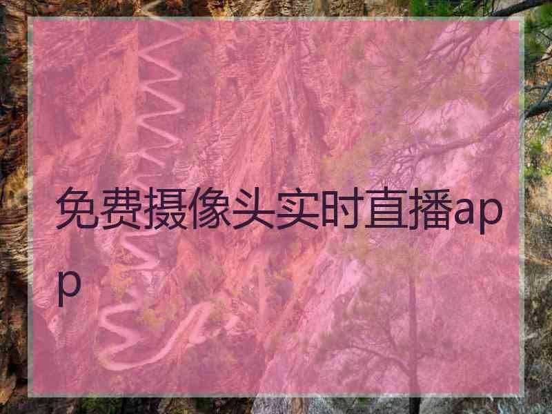 免费摄像头实时直播app