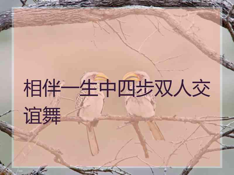 相伴一生中四步双人交谊舞