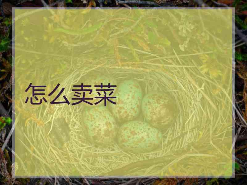 怎么卖菜