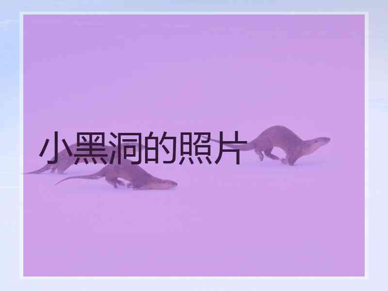 小黑洞的照片
