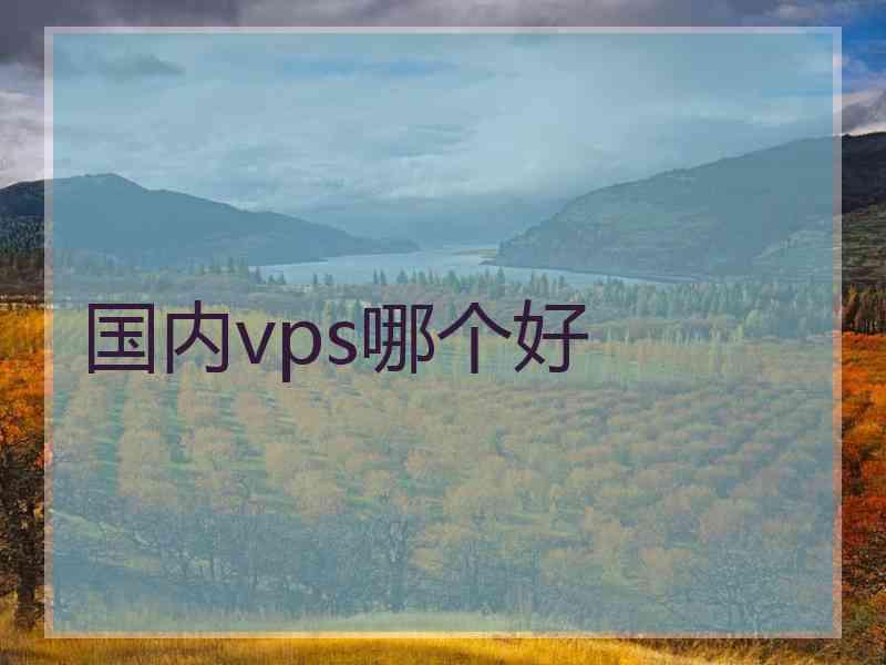 国内vps哪个好