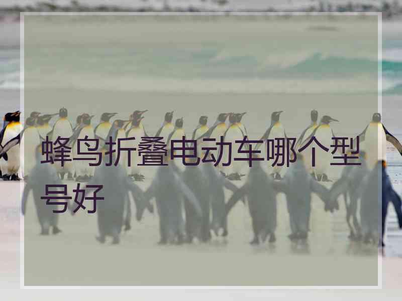 蜂鸟折叠电动车哪个型号好
