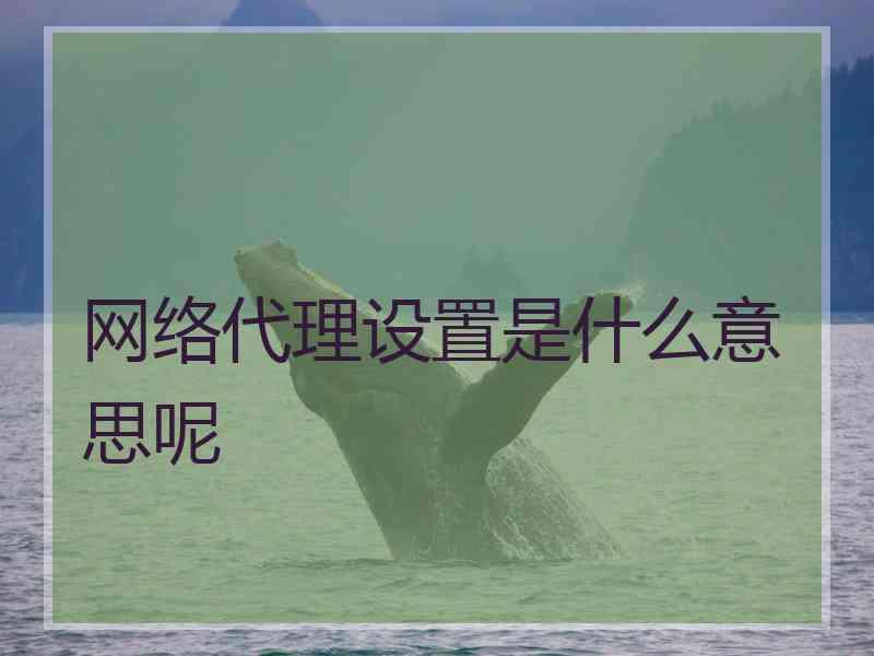 网络代理设置是什么意思呢
