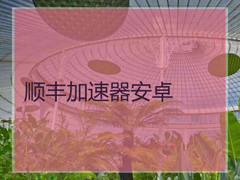 顺丰加速器安卓