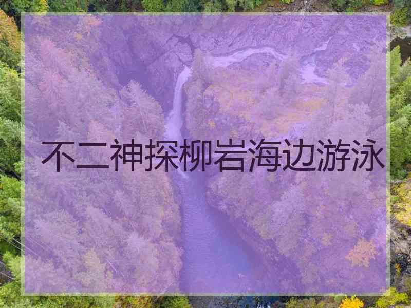 不二神探柳岩海边游泳