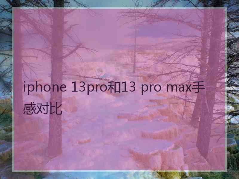 iphone 13pro和13 pro max手感对比