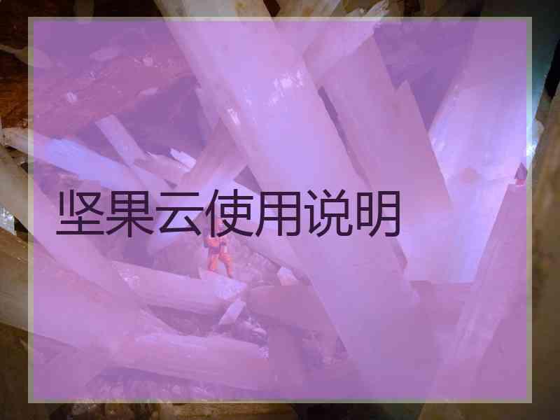 坚果云使用说明