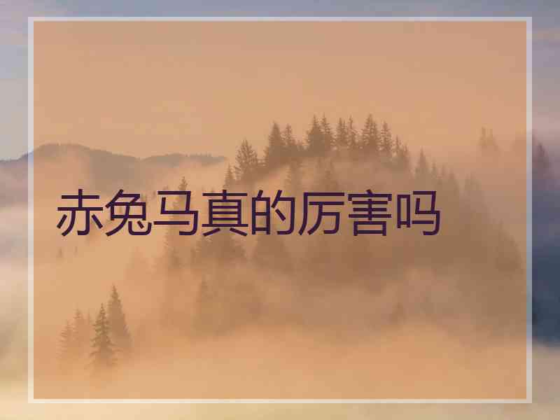 赤兔马真的厉害吗