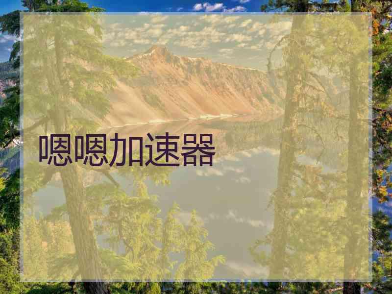 嗯嗯加速器