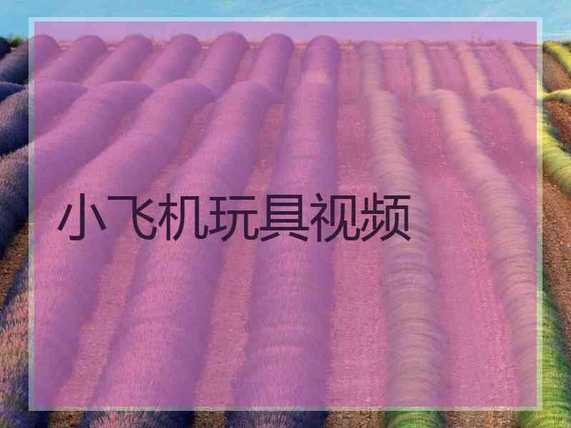 小飞机玩具视频