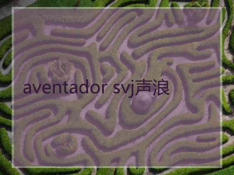aventador svj声浪