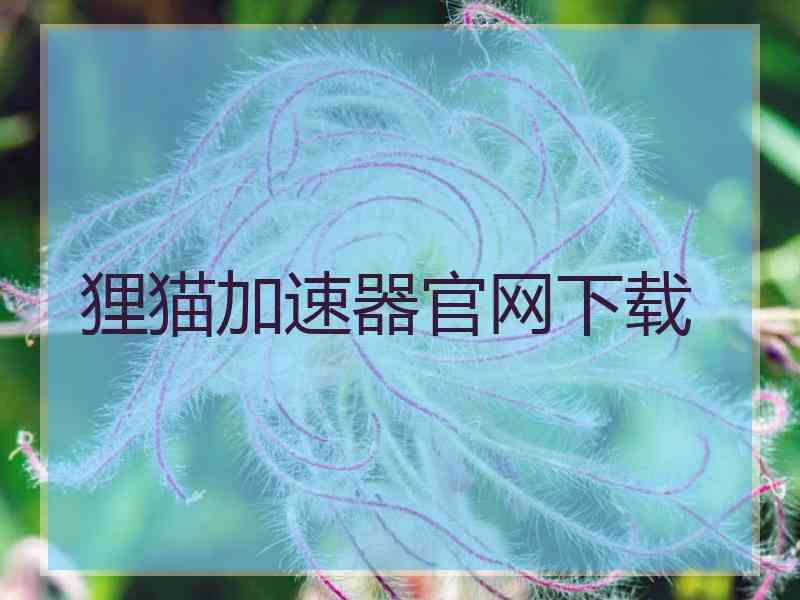 狸猫加速器官网下载
