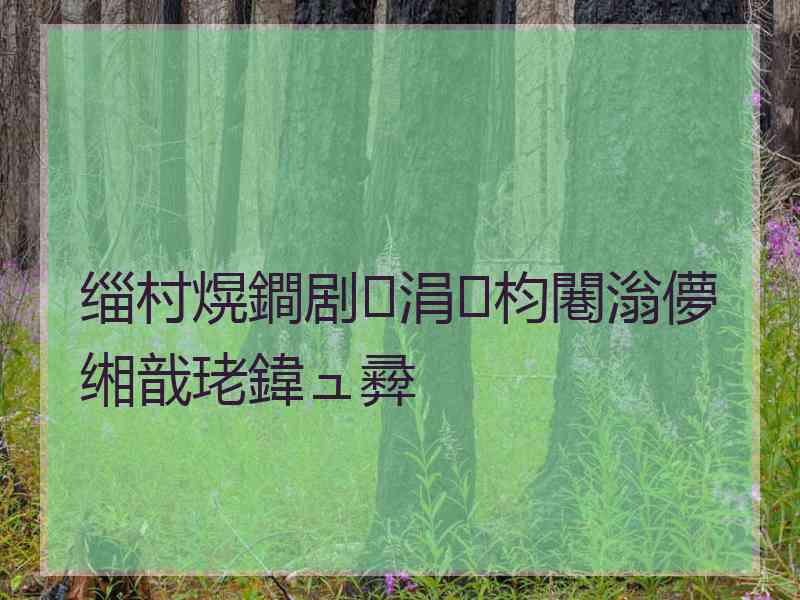 缁村熀鐧剧涓枃闀滃儚缃戠珯鍏ュ彛