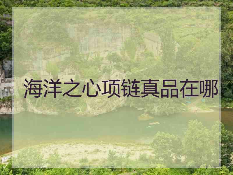海洋之心项链真品在哪