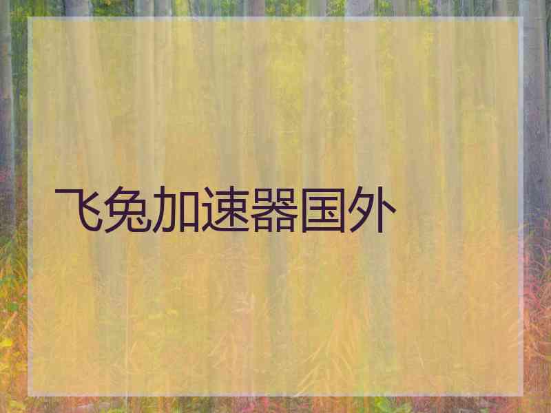 飞兔加速器国外