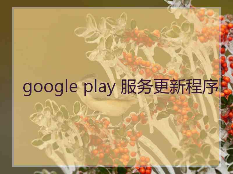 google play 服务更新程序