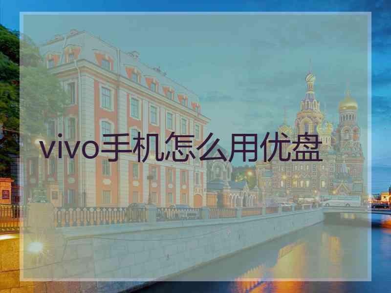 vivo手机怎么用优盘