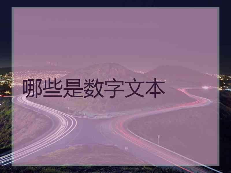 哪些是数字文本