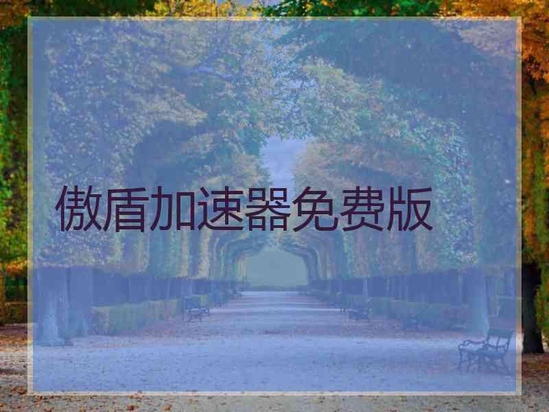 傲盾加速器免费版