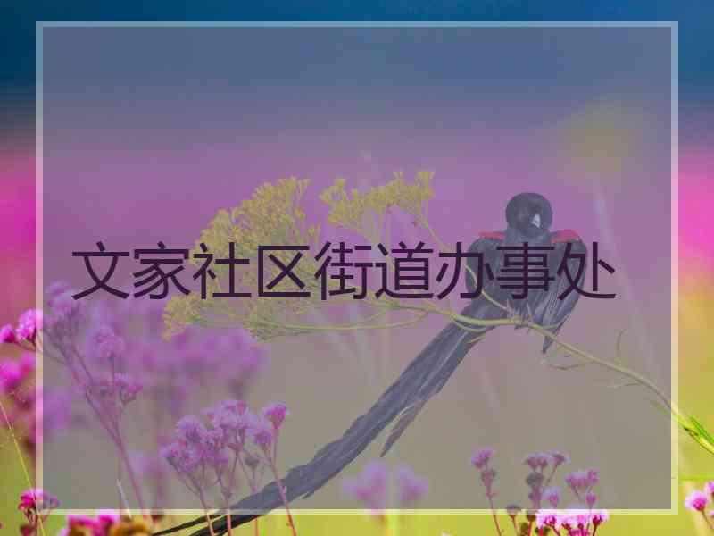文家社区街道办事处