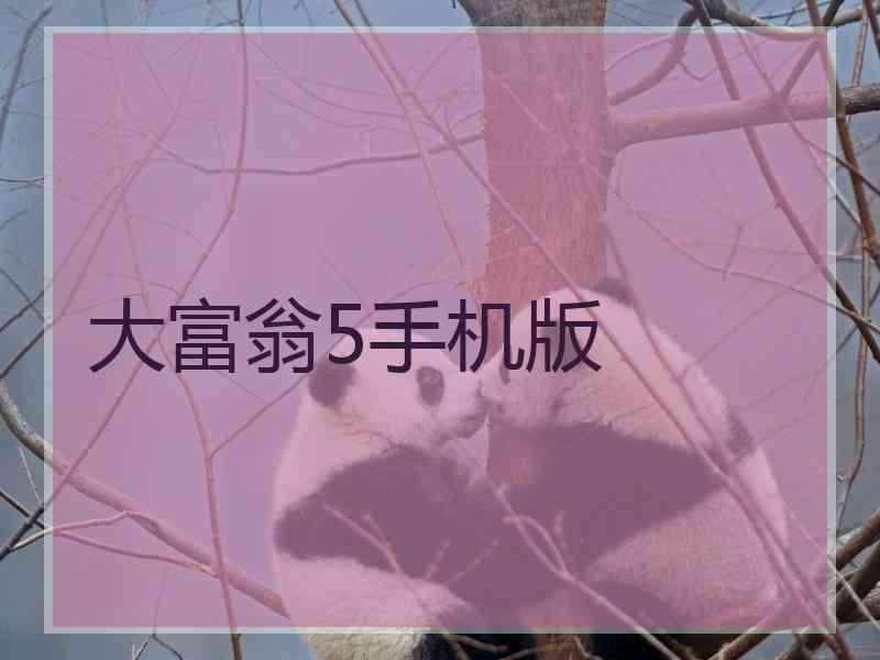 大富翁5手机版