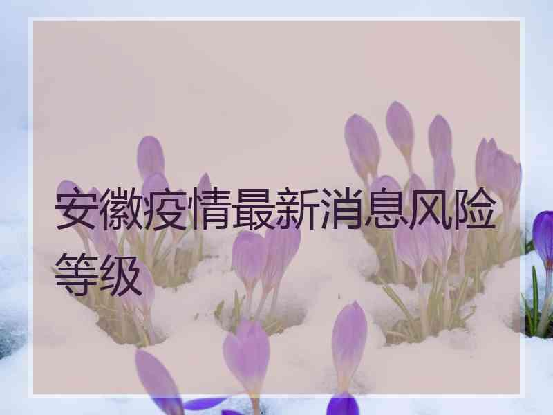 安徽疫情最新消息风险等级