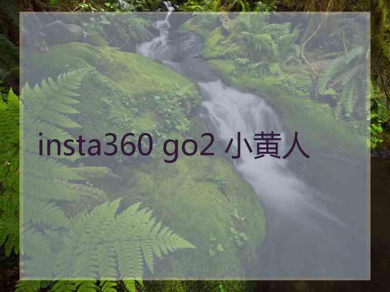 insta360 go2 小黄人