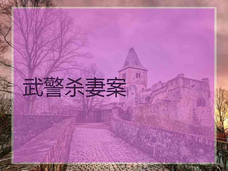 武警杀妻案