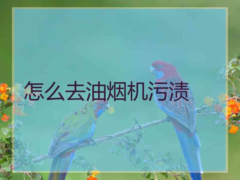 怎么去油烟机污渍
