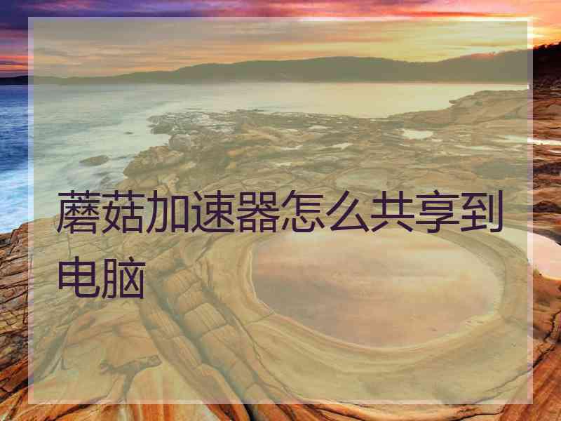 蘑菇加速器怎么共享到电脑