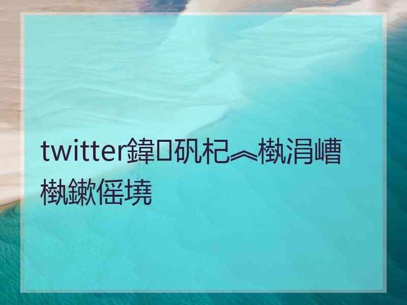 twitter鍏矾杞︽槸涓嶆槸鏉傜墝