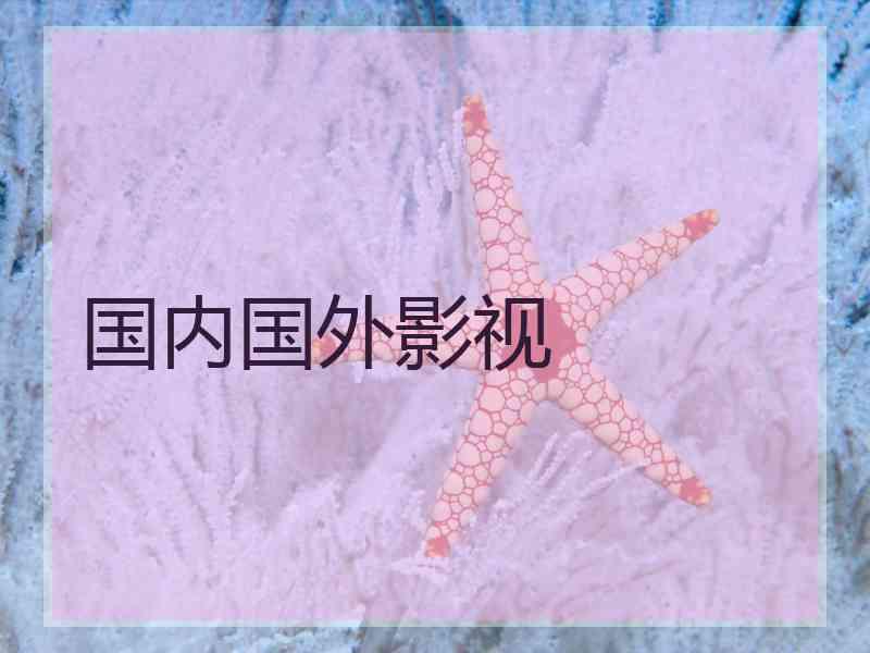 国内国外影视