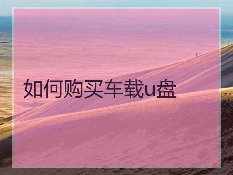 如何购买车载u盘