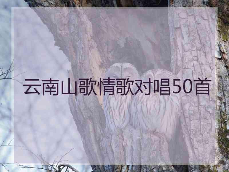 云南山歌情歌对唱50首