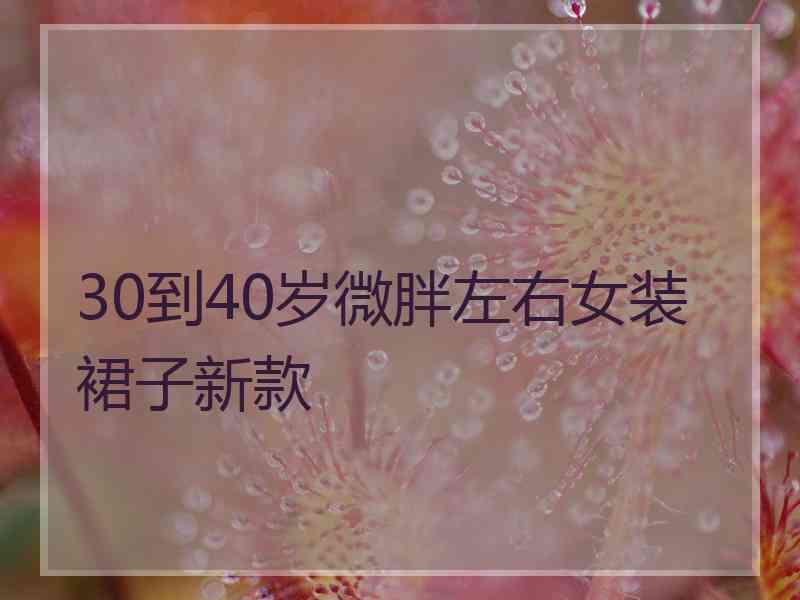 30到40岁微胖左右女装裙子新款