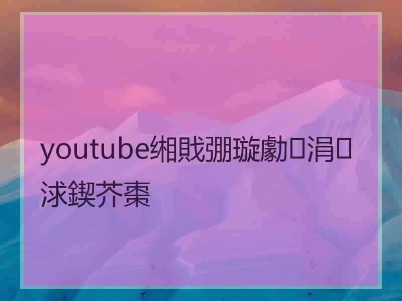 youtube缃戝弸璇勮涓浗鍥芥棗