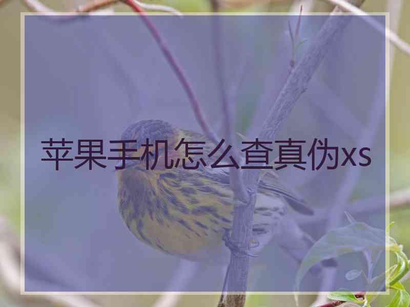 苹果手机怎么查真伪xs