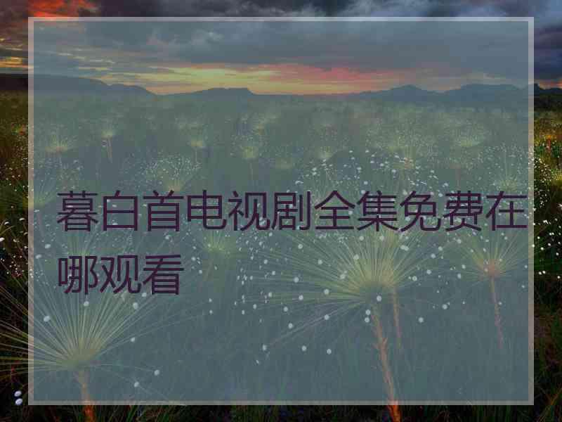 暮白首电视剧全集免费在哪观看