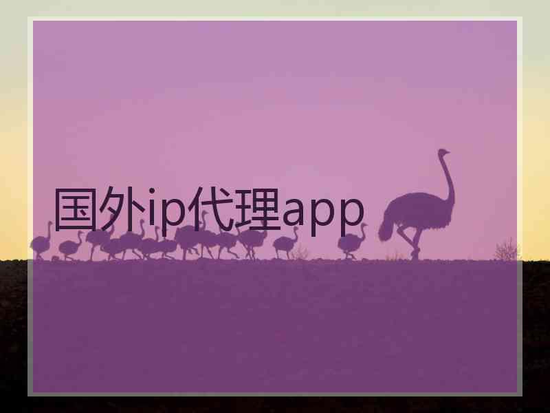 国外ip代理app