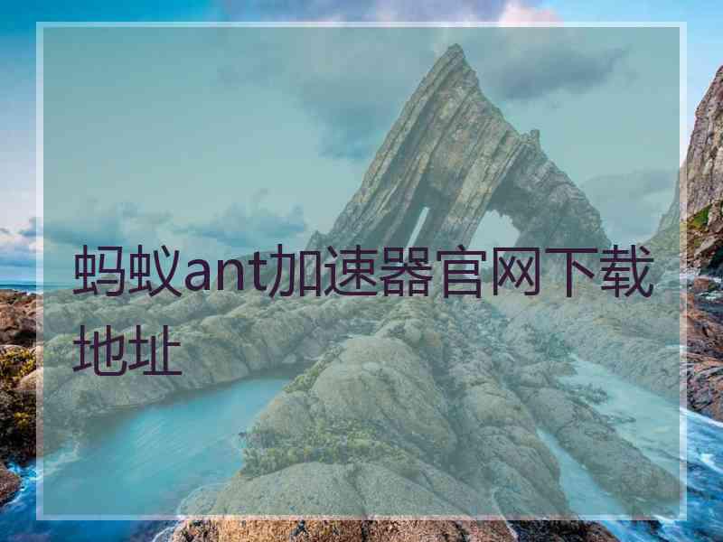 蚂蚁ant加速器官网下载地址