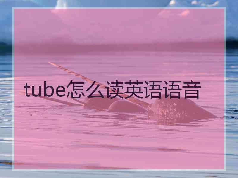 tube怎么读英语语音